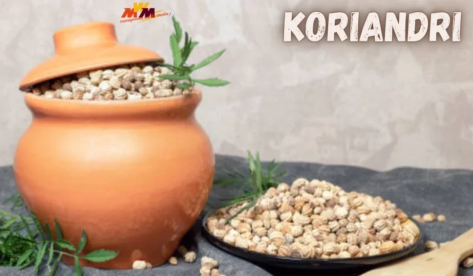 Koriandri: A Guide to This Versatile Herb